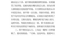 特殊的暑假_600字