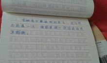 神秘的林中人_450字