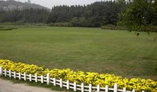 广场的草地_1500字