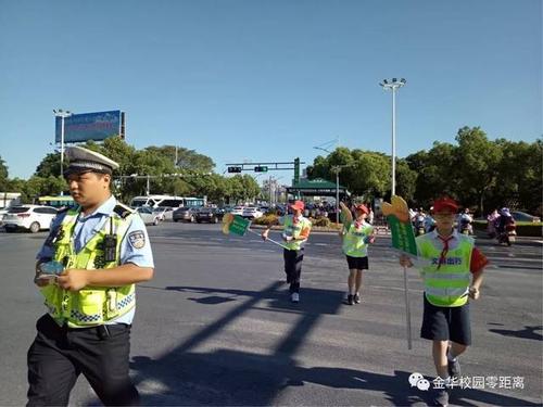 我是一个“小交通警察”_700字