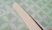 假如明天没有太阳_1500字