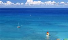 我终于见到了大海_800字