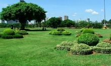 万绿园游记_400字