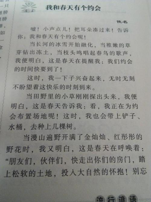 第一叙事成分：此时，我理解_600字