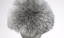 听听我们的心声_600字