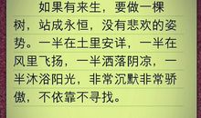 一封永远也收不到的信_550字