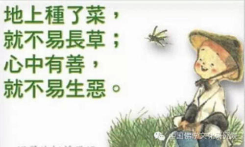 善行也应该擦眼睛_800字