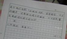 写给雅然姐姐的一封信_450字