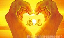 在感恩中成长 ——读《感恩的心》有感_700字