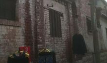 另一种邻里 _1000字