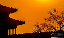 早春的清晨_350字