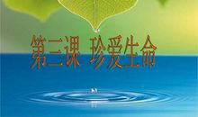 让生命绽放更美丽_1000字