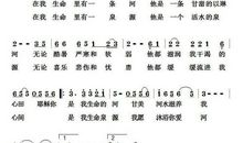 我眼中的生命_650字