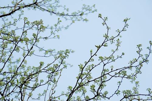 yuchun _150字