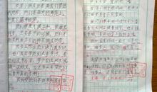 给台湾小朋友的一封信_700字