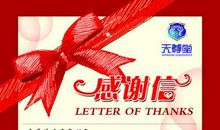 感恩的信_1500字