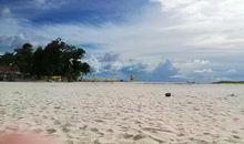 心中的美景_750字