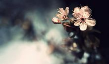 酸甜苦辣话考试_550字