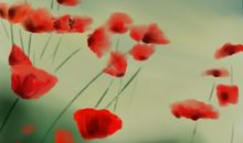 悄悄的脚步_150字