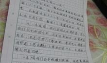 给老师的一封信_450字