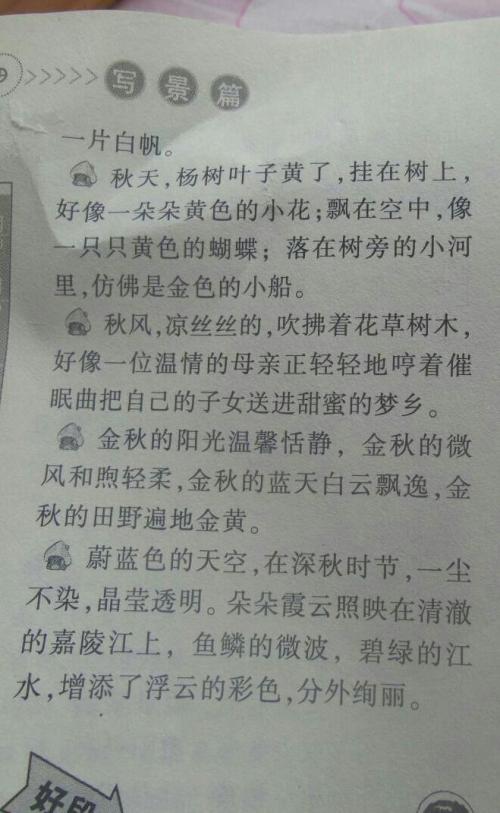 我喜欢冬天_150字
