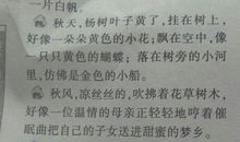 我喜欢冬天_150字