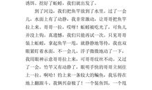 寒假里的一件事_350字