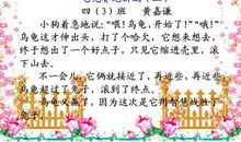 龟兔赛跑2_600字