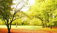 美丽的秋天_500字