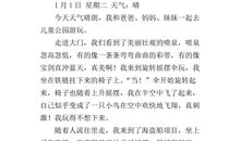 日记（1）_300字