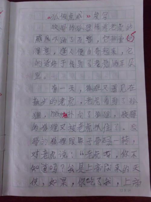 福克斯胡伟（续）_300字