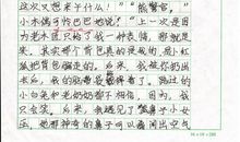 小木偶的故事（续写）_1000字