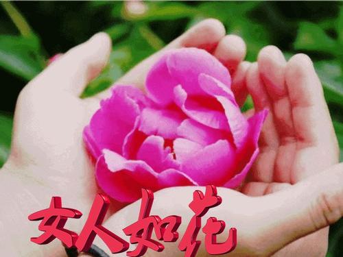 享受的构成：享受美女_650字