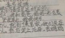 过年趣事_800字