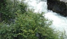 [发现征文]放慢脚步_1000字