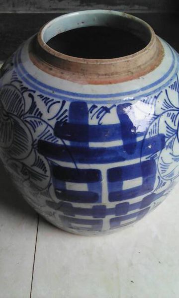 我喜欢蓝色和白色瓷器_600字