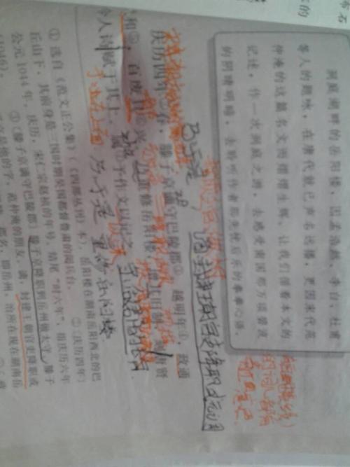 第一个双职组成：我的宠物_650字