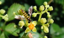 2016,我的夏天_450字