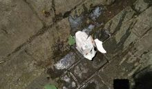 高空狙击案_800字