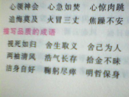 你总是让我的心弦_450字