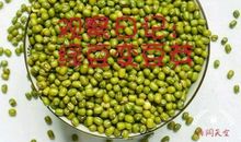 绿豆发芽记_650字