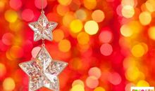 庆祝元旦的经典美文：梦里落花逢元旦_600字