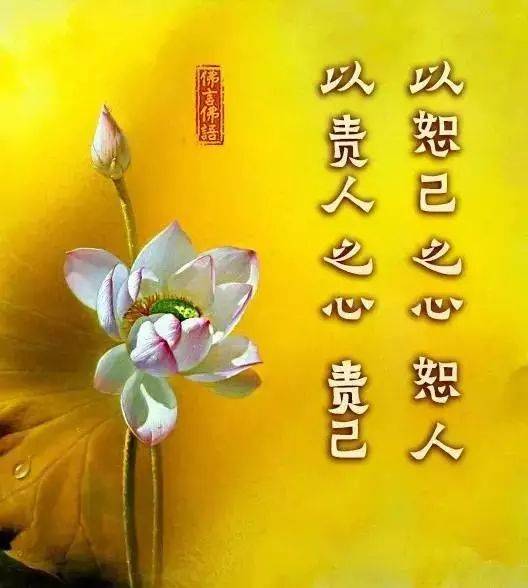 在十五岁的时候，我有更多的宽容_650字