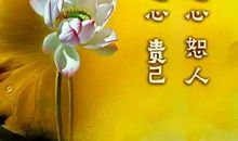 十五岁，我多了一份宽容_650字