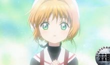 樱之恋前传之樱花的眼泪_450字