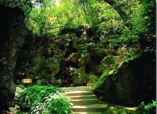 “山寻宝”持续_1200字