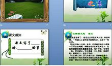 白蝴蝶之恋_1500字