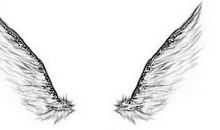 一只翅膀的天使_800字