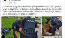 巡警与鸭子_350字