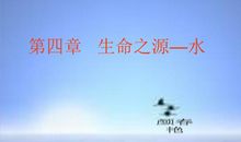 生命之源——水_300字